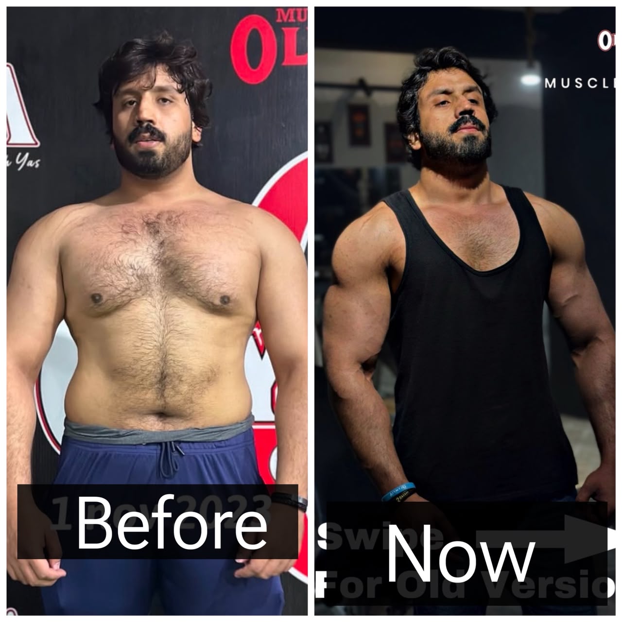 Olympia Gym client transformation result 6